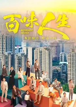 八一影视 雾港迷局 热播悬疑剧集封面